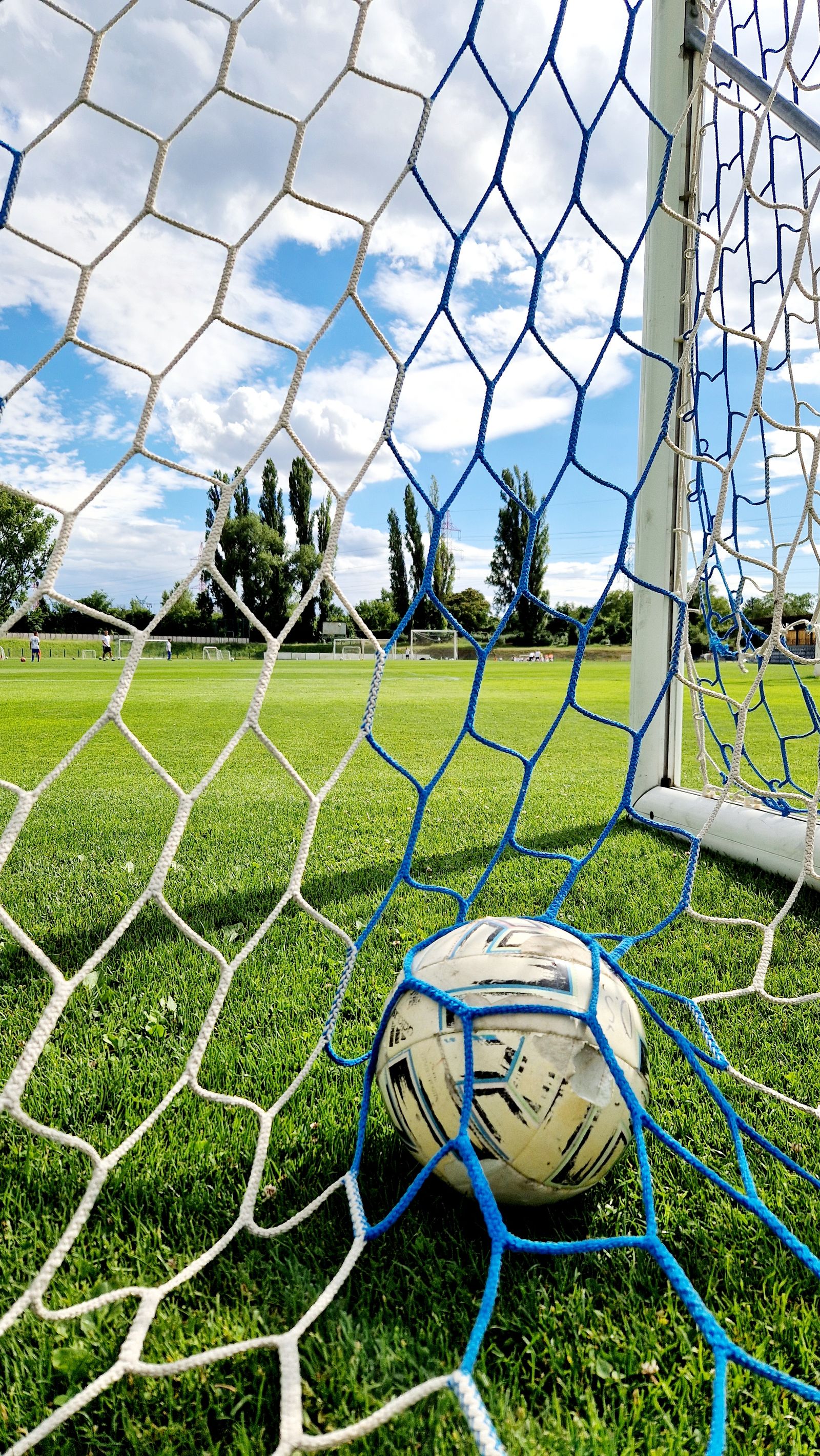 Goal Net Set