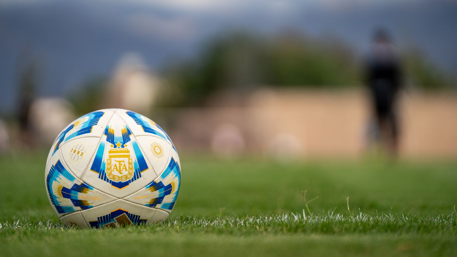 Pro Match Football